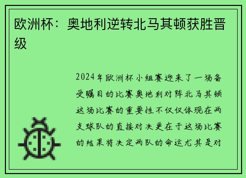 欧洲杯：奥地利逆转北马其顿获胜晋级