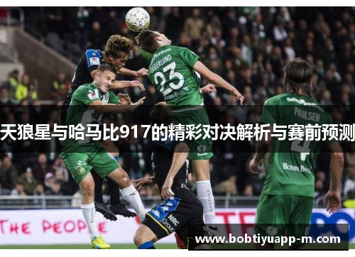 天狼星与哈马比917的精彩对决解析与赛前预测